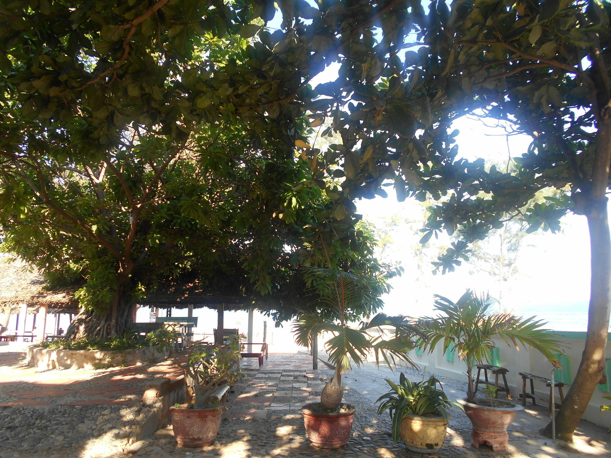 Suoi Nuoc Resort Μούι Νε Εξωτερικό φωτογραφία